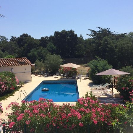 Chambre D'Hotes Villa Cote Vermeille Argelès-sur-Mer Eksteriør billede