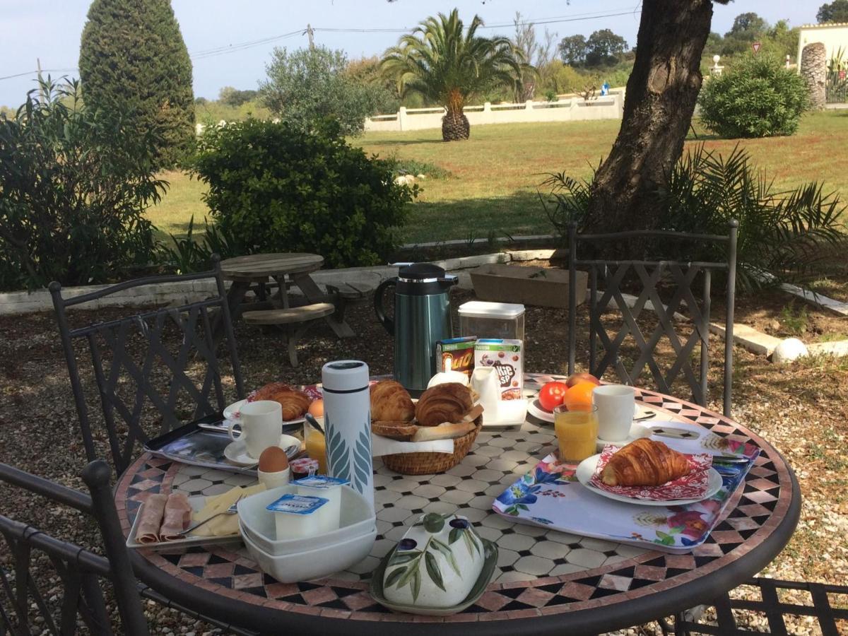 Chambre D'Hotes Villa Cote Vermeille Argelès-sur-Mer Eksteriør billede