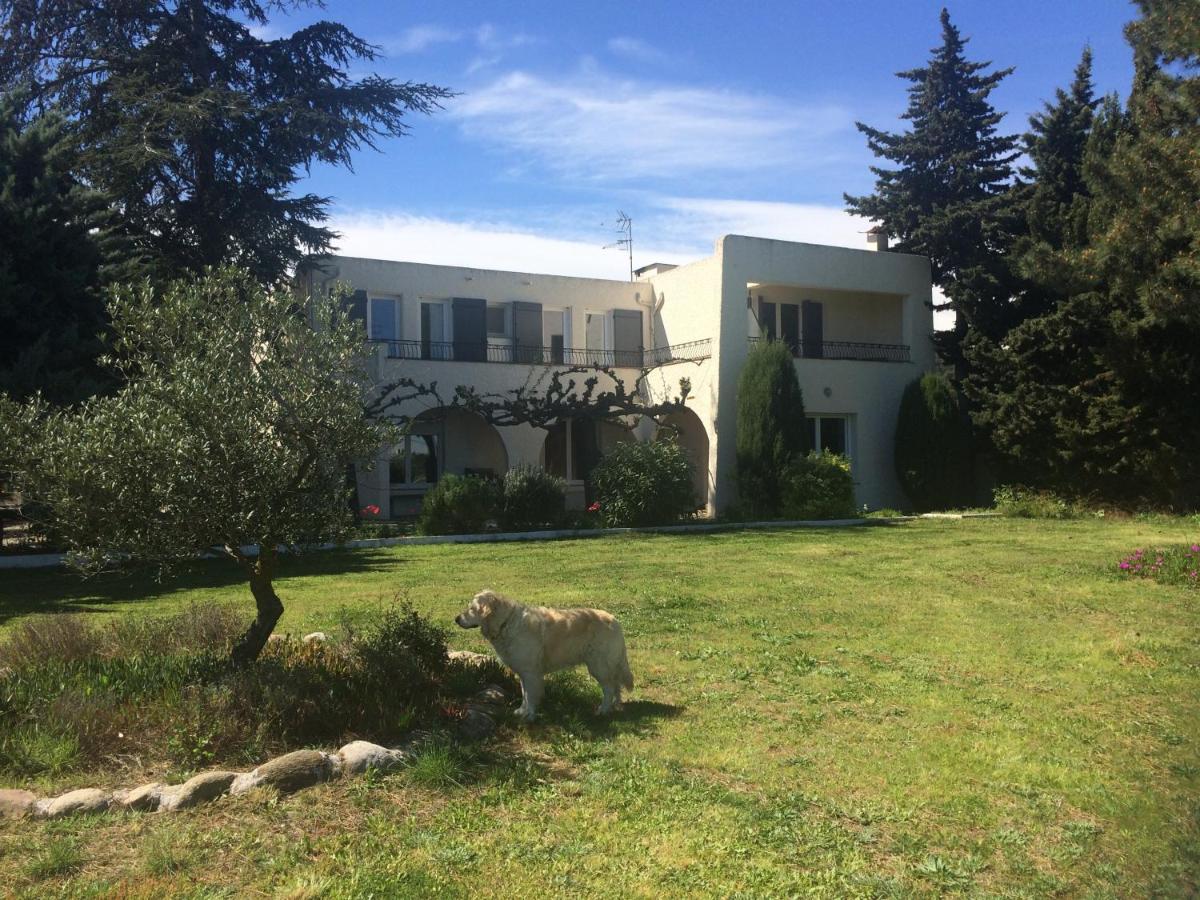 Chambre D'Hotes Villa Cote Vermeille Argelès-sur-Mer Eksteriør billede