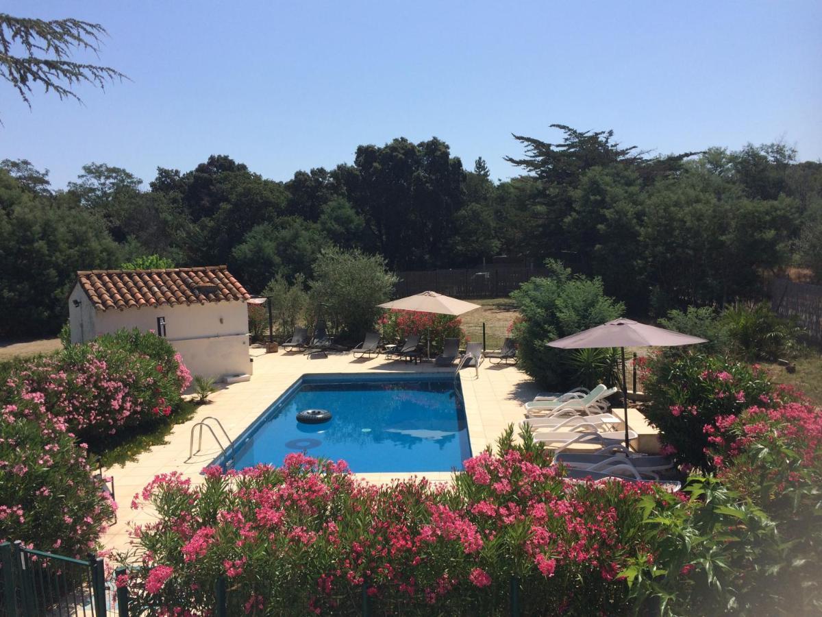 Chambre D'Hotes Villa Cote Vermeille Argelès-sur-Mer Eksteriør billede