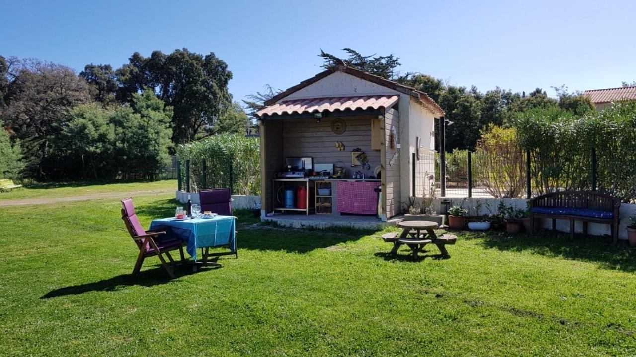 Chambre D'Hotes Villa Cote Vermeille Argelès-sur-Mer Eksteriør billede