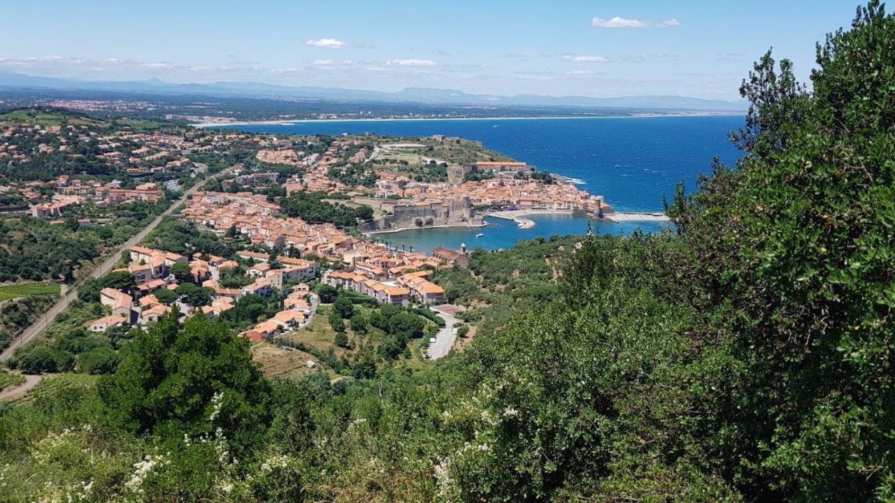 Chambre D'Hotes Villa Cote Vermeille Argelès-sur-Mer Eksteriør billede